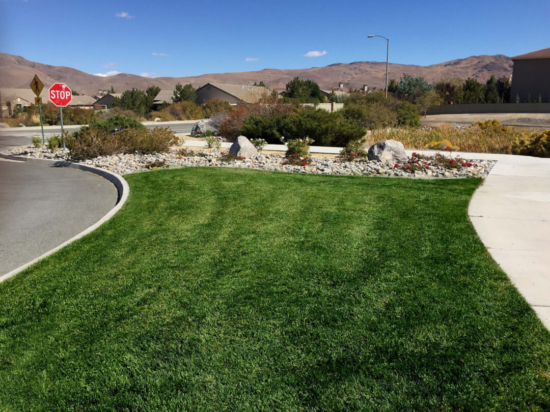 reno landscaping companies