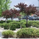 Shopping Center Property Maintenance picture